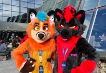 Furry Fandom: Insights After the Tory Scandal – Part 1 furry fandom