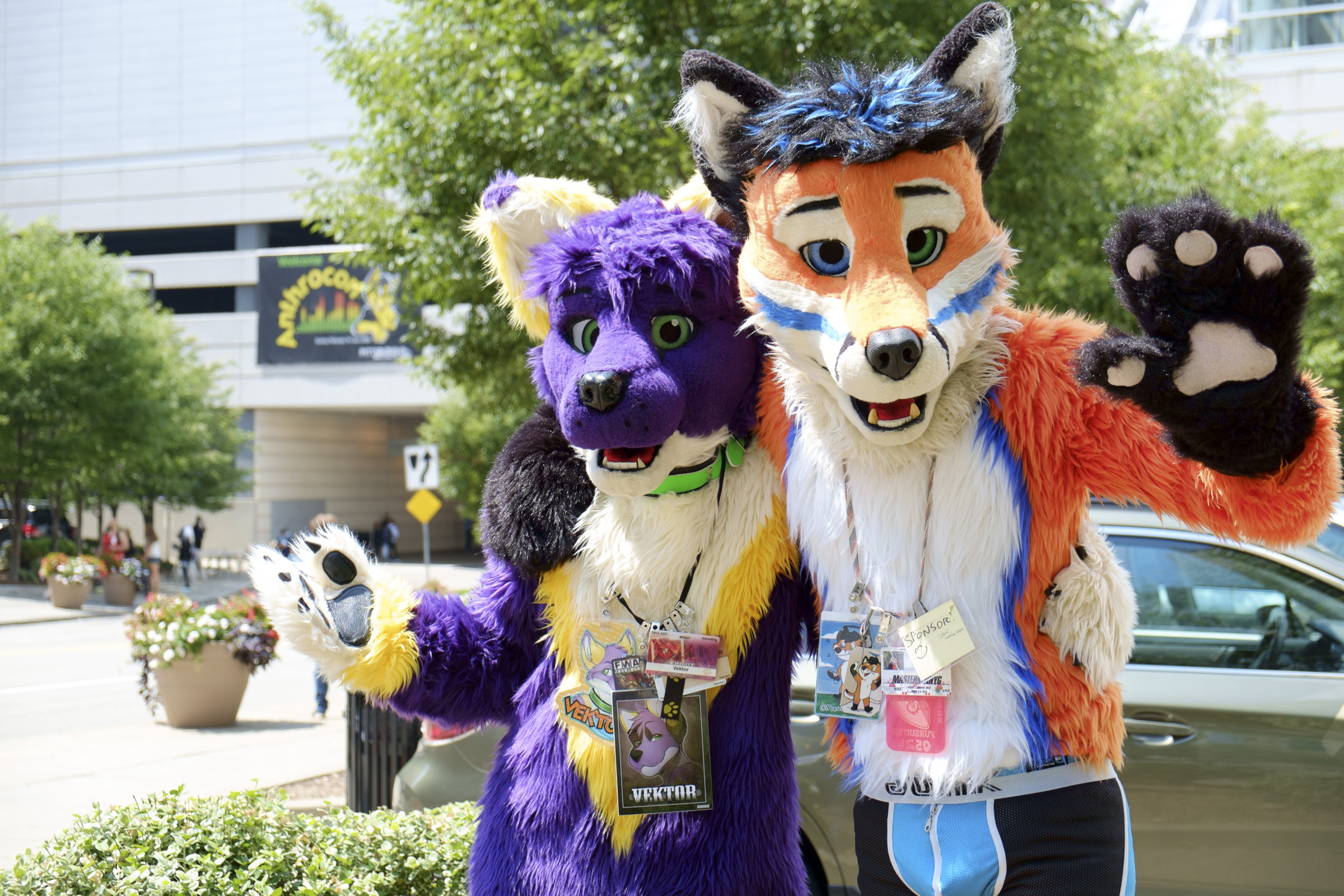 furry fandom