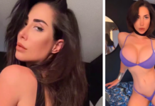 Reede Fox: From Babestation’s TV Era to the Digital Creator Boom Reede Fox